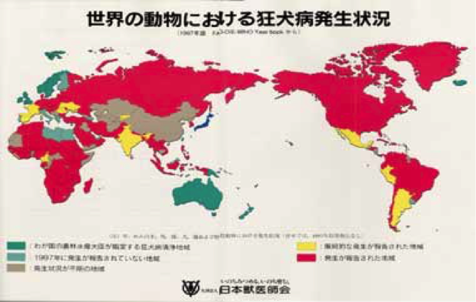 （公社）日本獣医師会より提供