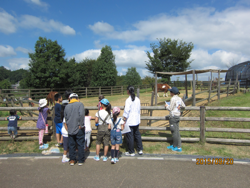 アニマルパークツアー